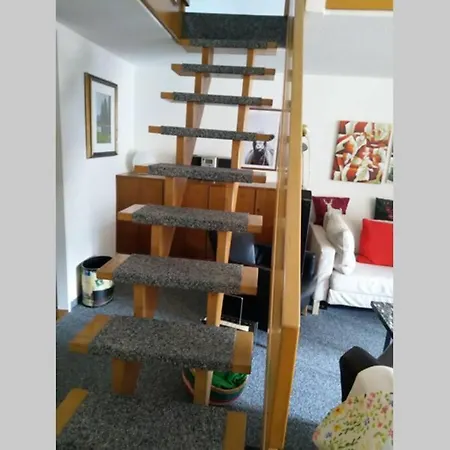 Fortuna 317 * 로이커바드